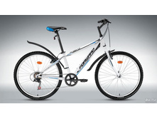 Forw. ���-� 26�. Flash 1.0 6 ��. �. 15,5�., ��. �����, ������ - 9025,00.jpg