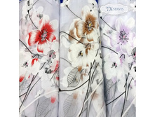 ���� �������-����� �����.jpg