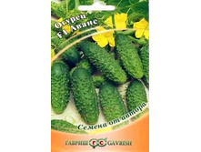 ����� F1 ����10 �� �������� �����. � ������