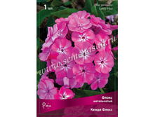 ����� �����.jpg