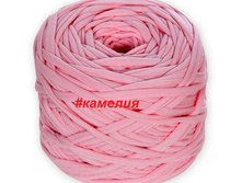 1004 �������.jpg