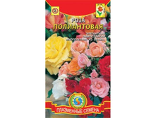 ���� ����������� 15,49 ���� 7 ��.jpg