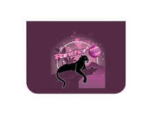 30216-63 ����� � ����������� MagTaller, J-flex, 27 �����., Panther