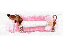 ������� ����� ��������- ����������� ���������.jpg