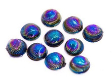 77 ���. - ����������� ������ "TNL" - ������� "��������" (10 ��/��)