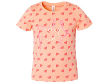 C17-A1200 ��������_5,95_�����_4,15