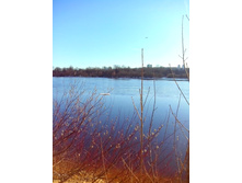 IMG 20170404 160840.jpg