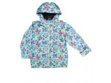 ������ ���� "��������" �� �������