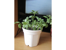 ���� 002.jpg