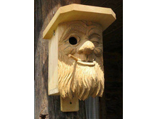 17022355 398079960572940 928838047073190873 n.jpg