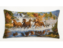 ������ � ��������-����������� ���������.jpg