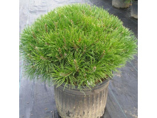 ����� ������ ������� (�9).jpg