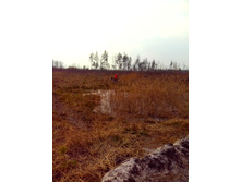 IMG 20170408 153756.jpg