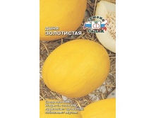 ���� ���������� �