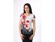 ������ 551�  - 480,00 ���