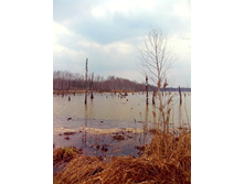 IMG 20170408 130612.jpg