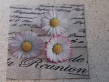 33�33 - 15 ���.