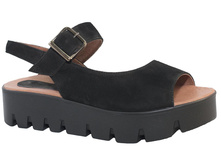 550 ����� ������ � ��� �������