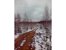 IMG 20170415 113809.jpg