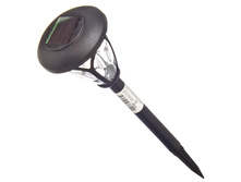 162 ���. - INBLOOM ������ ������� �� ����. �������, �������, 9,5x39��