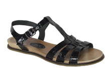 459 ��� ������