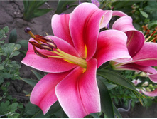 ����� ��������.jpg