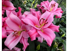 ����� ������� 18/20 /1 �� ��-�������-58,29.jpg