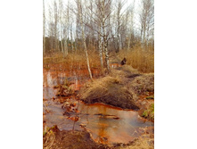 IMG 20170408 130740.jpg