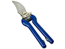 219 ���. - INBLOOM ������� ������� 8" (������������ �����50),���������� �������, ��������, P�-�������