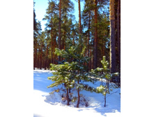 IMG 20170401 093337.jpg