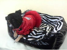 560 ��� - ����� ������������� ���������������.jpg