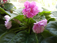 20160512 182645.jpg