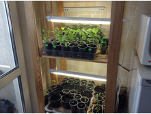 �� ������ ������� ������� ������ � ��������.