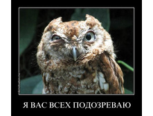 ���� �����������