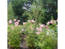 �������� �������