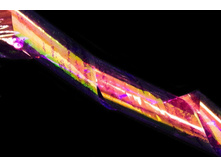 31 ���. - ������ "TNL - ����� ������" ?3 (���������)