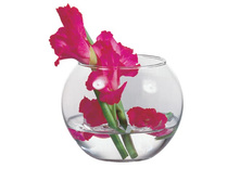 43427 ���� FLORA 188,76+%.jpg