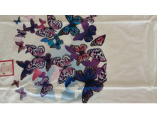 IMG 20170414 122051.jpg