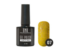 162 ���. - ����-��� "TNL - � �������� �������������� "Crack " ?07 - ��������� (10 ��.)