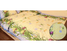 �������� 1,5 ��������, ���� ���� ����� 210,00 ���. �����: ���� (������ 100%)