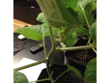 ��������� � ������ ������