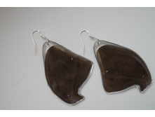 N20-1, ������ �������