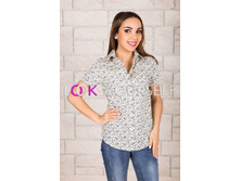 ������� � �������� ���. 1806 -74.jpg