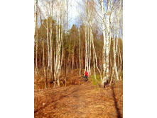 IMG 20170409 113909.jpg