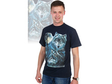 �������� 1629.JPG