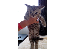 IMG 20170408 160218.jpg