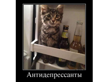 ��������������� ...