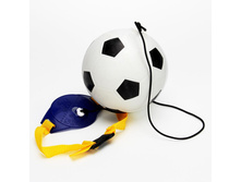 247 ���. - ��� �������������, 18��, ���