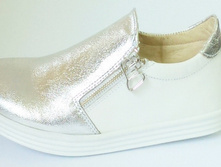 22;104 33-38gl.serebrobelyy.jpg