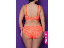 196.00 253140	����� ��� Kruna ���������
